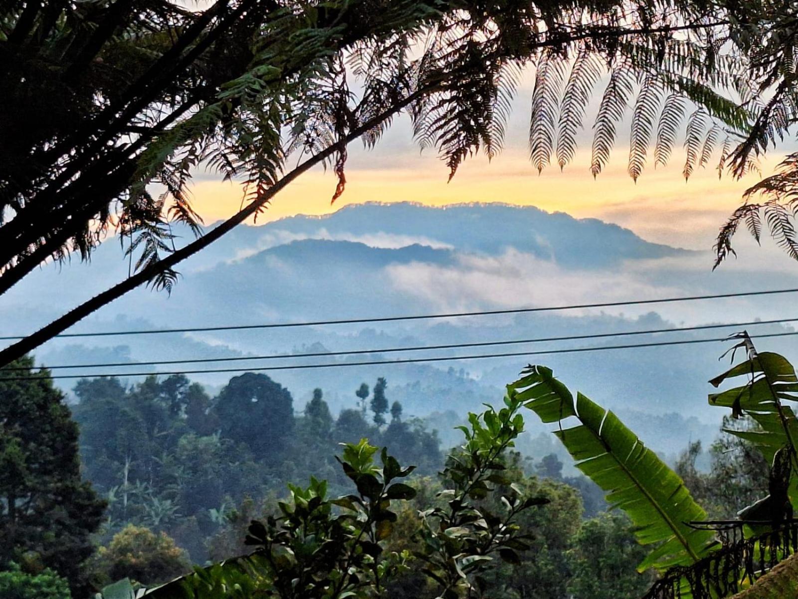 Sang Natha Tjatur