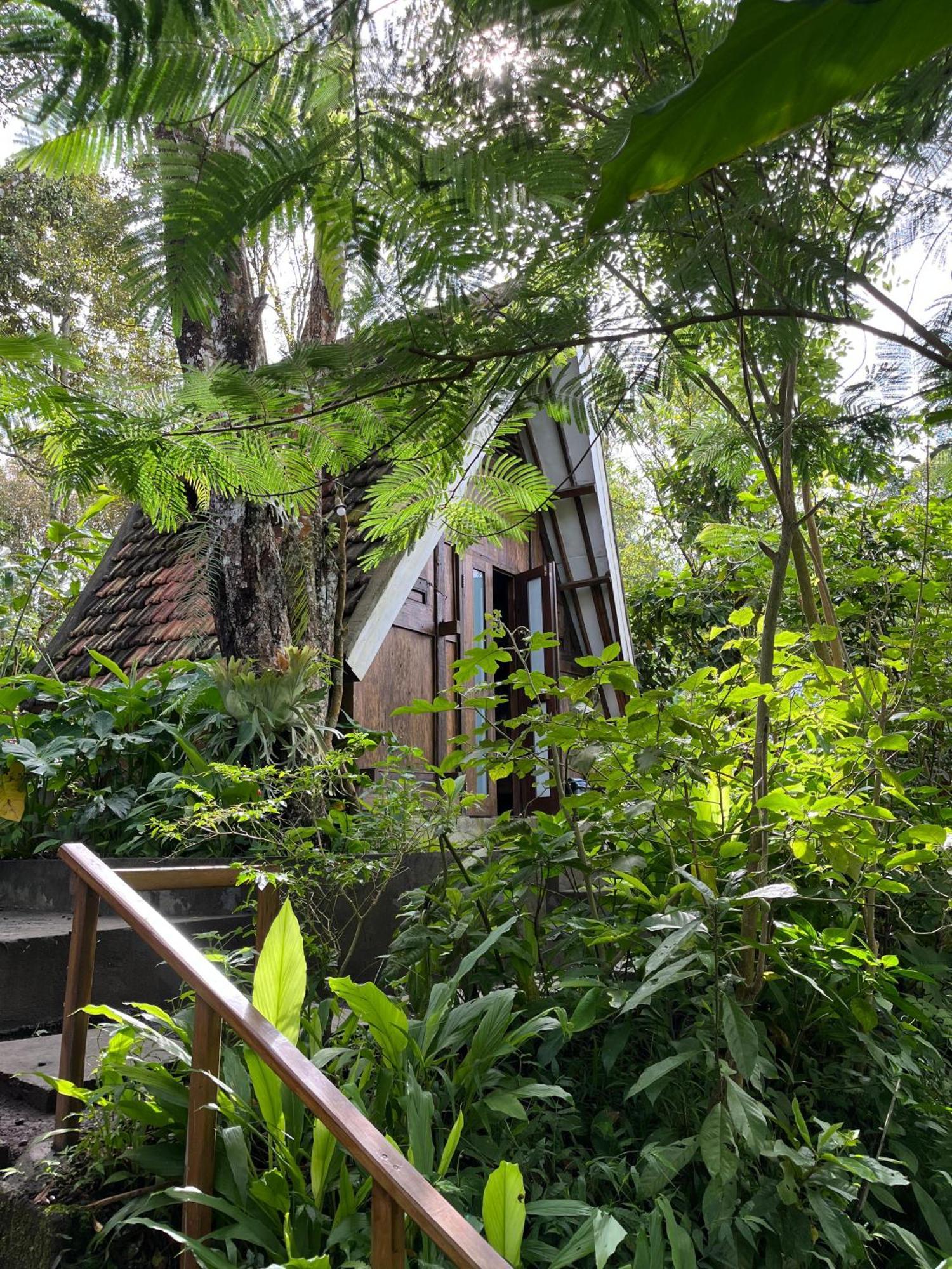 Sang Natha Tjatur