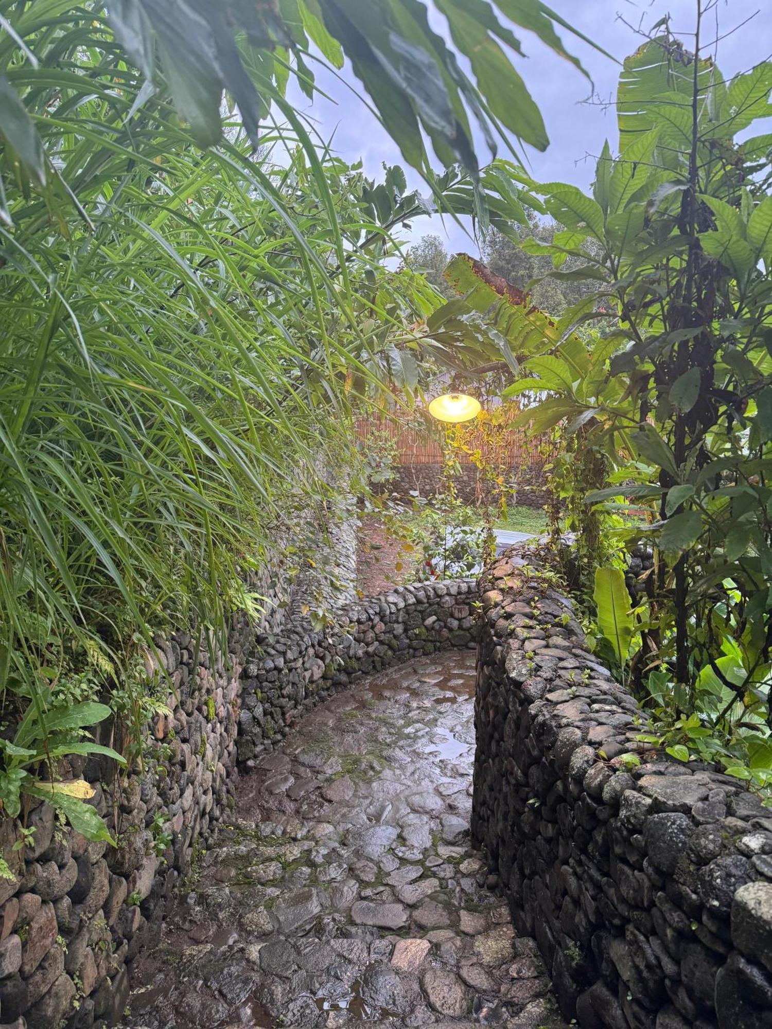 Sang Natha Tjatur